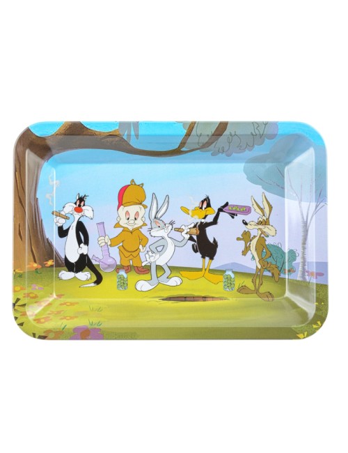Bandeja Metálica - Looney Tunes - S 18x14cm